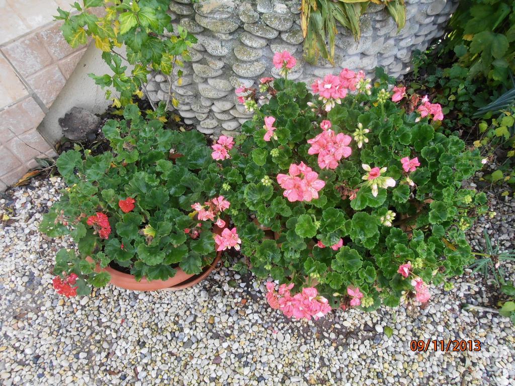Les Galets Apartment Tracy-sur-Mer ภายนอก รูปภาพ